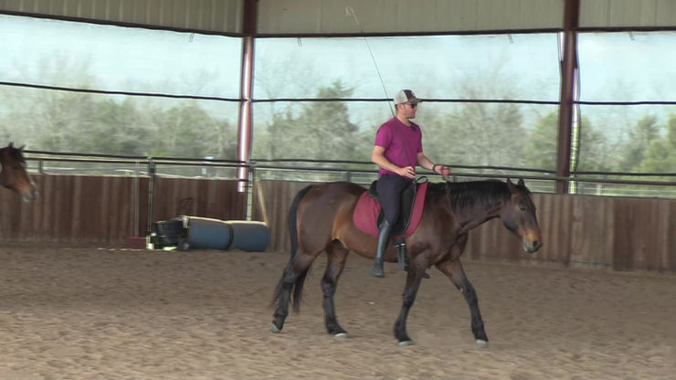 Working with a 6 Horse Liberty Team May 2025